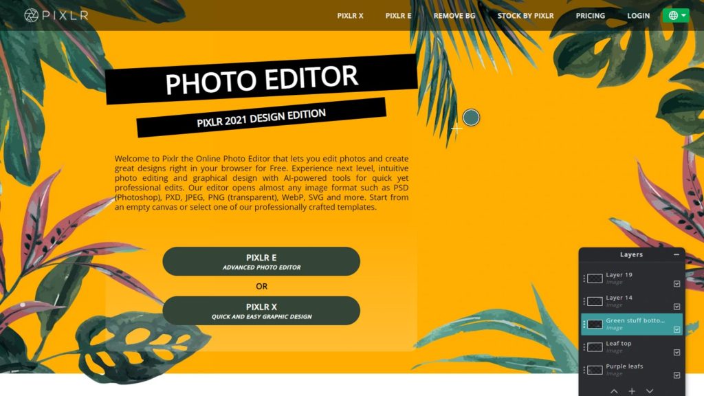 photo editor