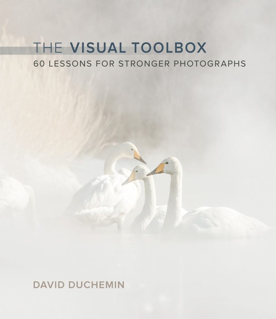 The Visual Toolbox