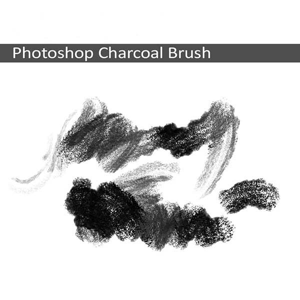 Charcoal brushes