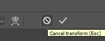 Cancel button in the Options Bar.