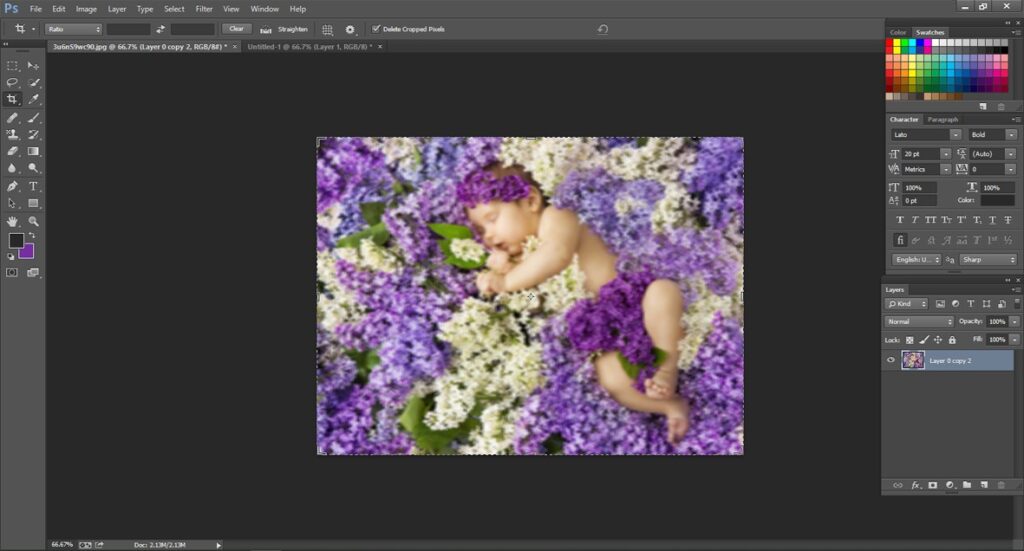 Blur Tool in Photoshop