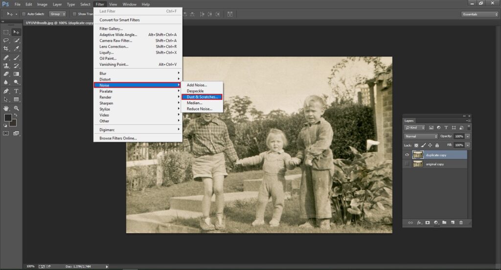 Remove Dust from an old photo