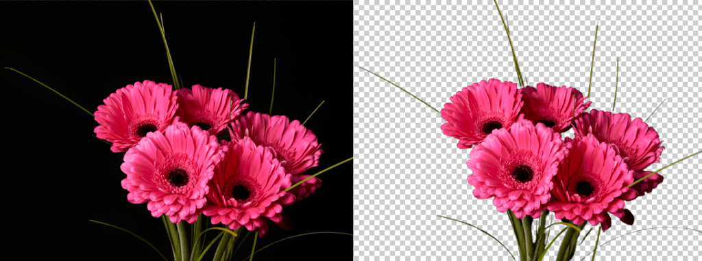 Tools of Clipping Path Service