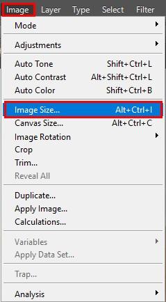 Image Size dialog box
