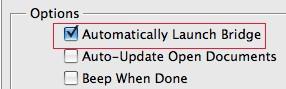  Automatically Launch Bridge