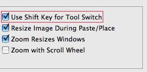 Use Shift Key For Tool Switch: