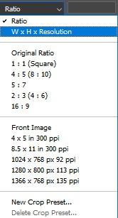 From the Aspect Ratio menu, select "W x H x Resolution."