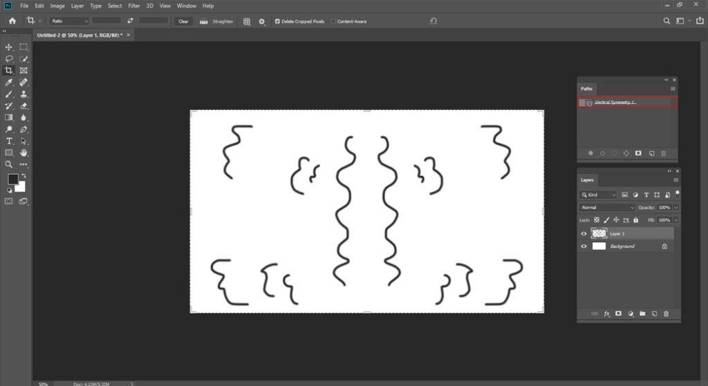 Observe the symmetry path from the path panel