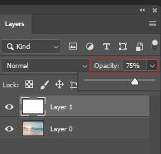  Lower The Layer Opacity