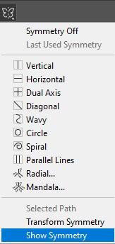 show symmetry option