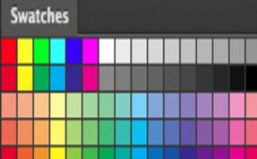 How to Make a Color Palette in Photoshop