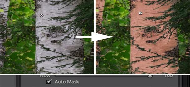 Change Brush Using Auto Mask