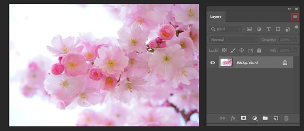 Convert the image layer into a smart object