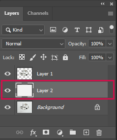 Select the background, create a new layer